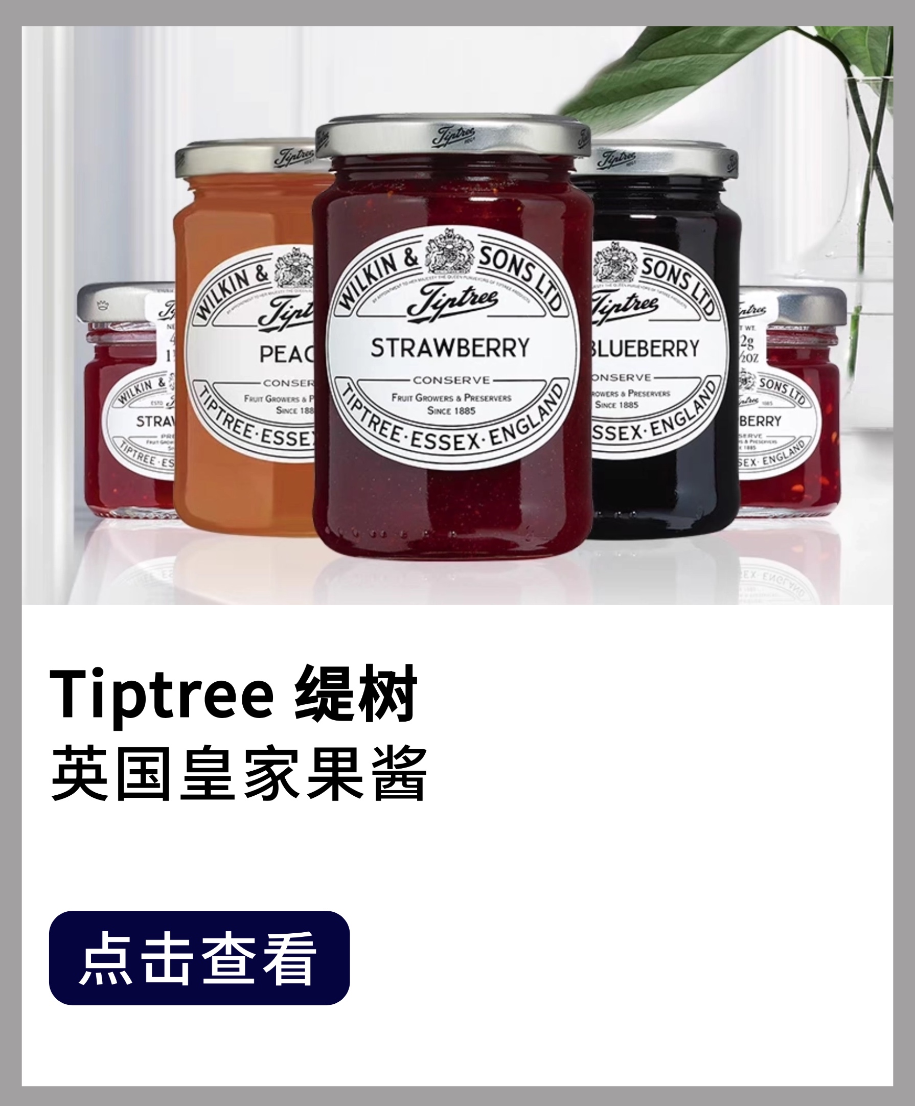 tiptree缇树