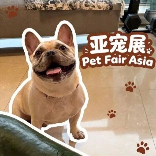 英国驻华贸易副使节点赞“冬瓜降温”：宠物是家人，期待亚宠展共探新机遇